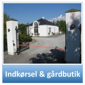 Indkørsel & Gårdbutik
